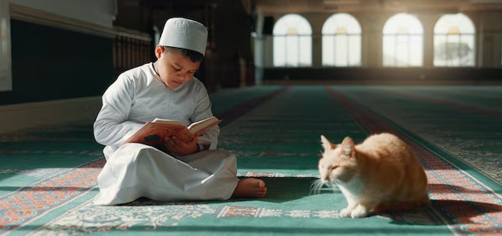 How to Choose the Best Online Quran Memorization Classes in the USA