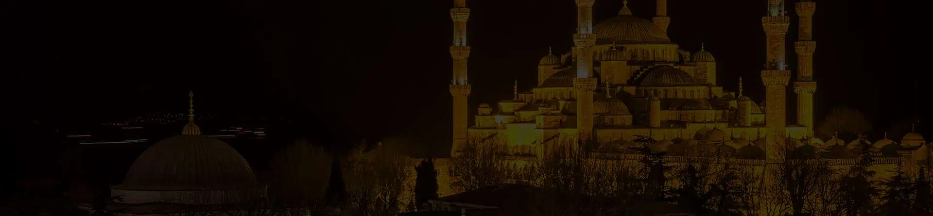 Online Quran Academy Theme